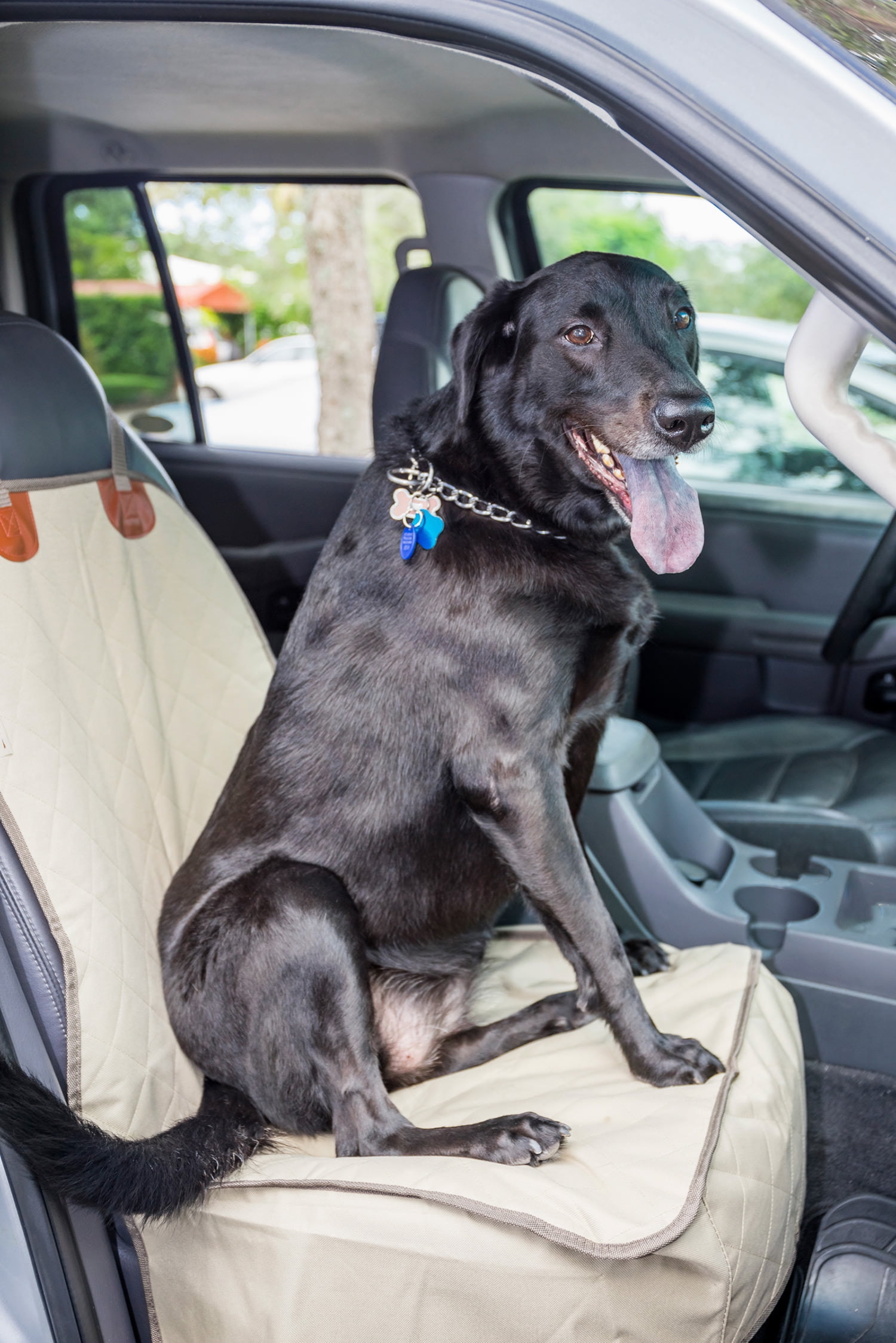 Front Seat Dog Cover by 2PET Pet Seat Cover for Trucks, Cars, SUV