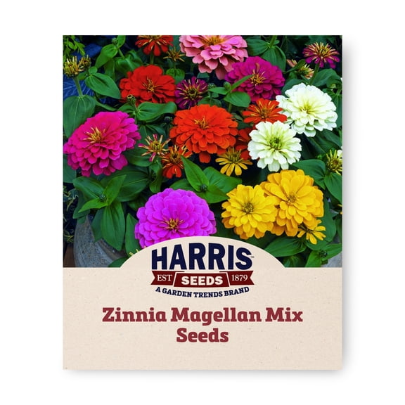 Harris Seeds Magellan Mix F1 Zinnia, Multicolor Blooms for Beds, Borders and Containers, 25 Count