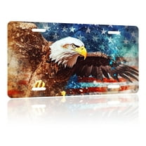 Uiaoiais Watercolor of American Bald Eagle License Plates Aluminum License Plate Decorative Cover