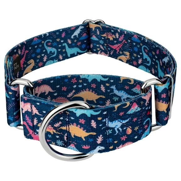 Country Brook Petz® 1 1/2 inch Dinosaurs Martingale Dog Collar, Medium