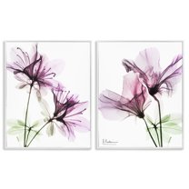 Stupell Industries Purple Flower Bloom Design Botanical & Floral Photography White Framed Art Print Wall Art, 24 x 30, Set of 2