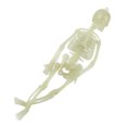 thumbnail image 3 of Glowing  Skeleton,  Skeleton Decoration Innovative Appearance  for Bars, 3 of 8