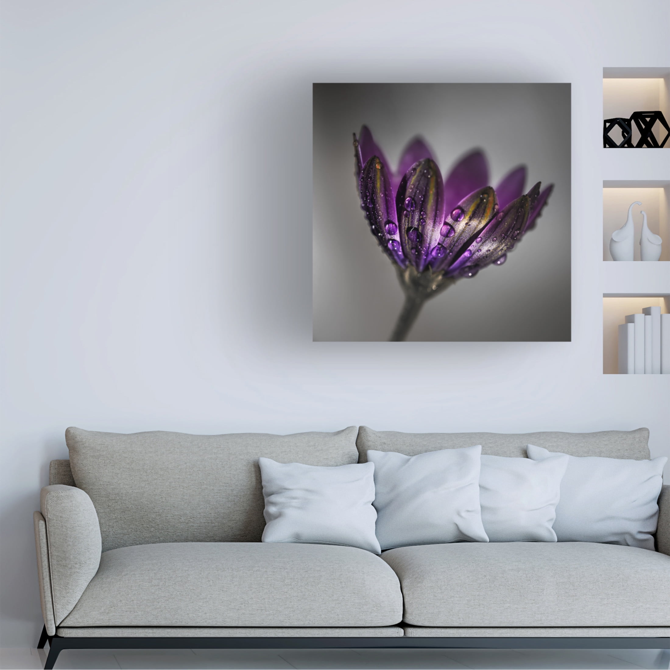 Trademark Fine Art Francis Wilson  Broad-Leaved Anemone Canvas Wall Art