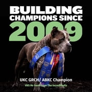 Bully Max 24/14 High-Protein & Growth Lamb Dry Puppy Food 15lbs.