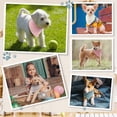 thumbnail image 4 of Bunnycool, 10 pañuelos de muselina y algodón para perros pequeños, 4 of 7