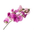 thumbnail image 2 of Sweet Pea Wall Decal by Wallmonkeys Peel and Stick Graphic (36 in W x 32 in H) WM177291, 2 of 4