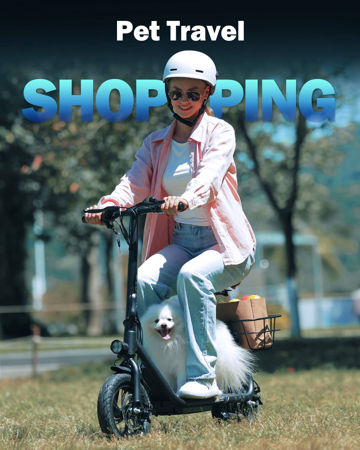 ZDZA Electric Scooter with Seat 750W Peak Motor with Carry Basket, 20Miles 15.5mph Foldable 12" E Scooter for Commuting, UL 2272