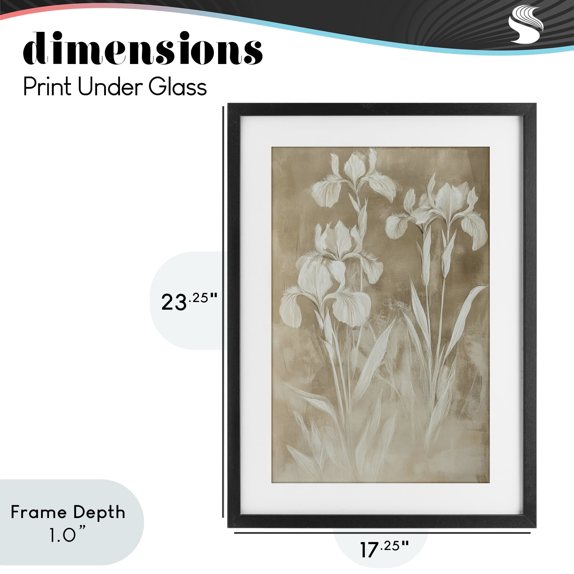 Stupell Industries Neutral Iris Botanical Study Black Framed Print Under Glass, design by Petal Prints Design