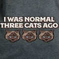 thumbnail image 3 of CafePress - I Was Normal Three Cats Ag Women's Classic T Shirt - Women's Traditional Fit Dark T-Shirt, 3 of 4