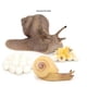 thumbnail image 4 of Personajes del de de caracol y cigarras. Modelo, 4 of 9