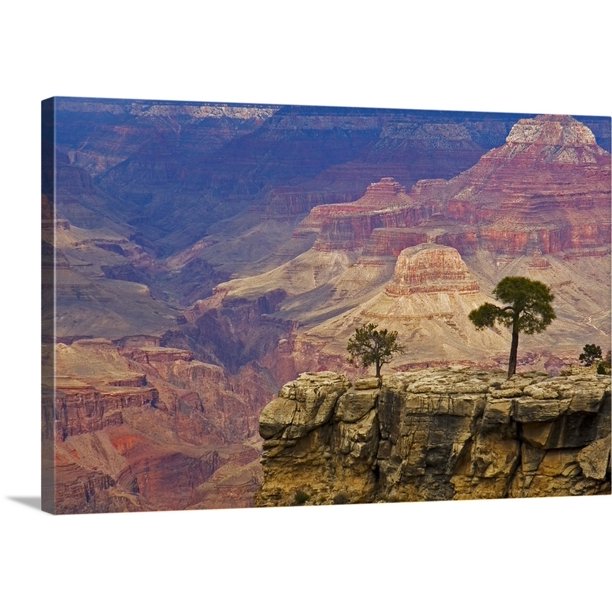 Great BIG Canvas | "South Rim Of Grand Canyon, Arizona, Elevated View