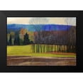 thumbnail image 2 of Hendrick, Cathe 18x14 Black Modern Framed Museum Art Print Titled - Charlevoix County, 2 of 5