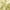 Yellow, variant on Exultantex Gray Semi Sheer Leaf Window Curtains Panels 84 inches Long for Kitchen Living Room, 55"W x 84"Lx2