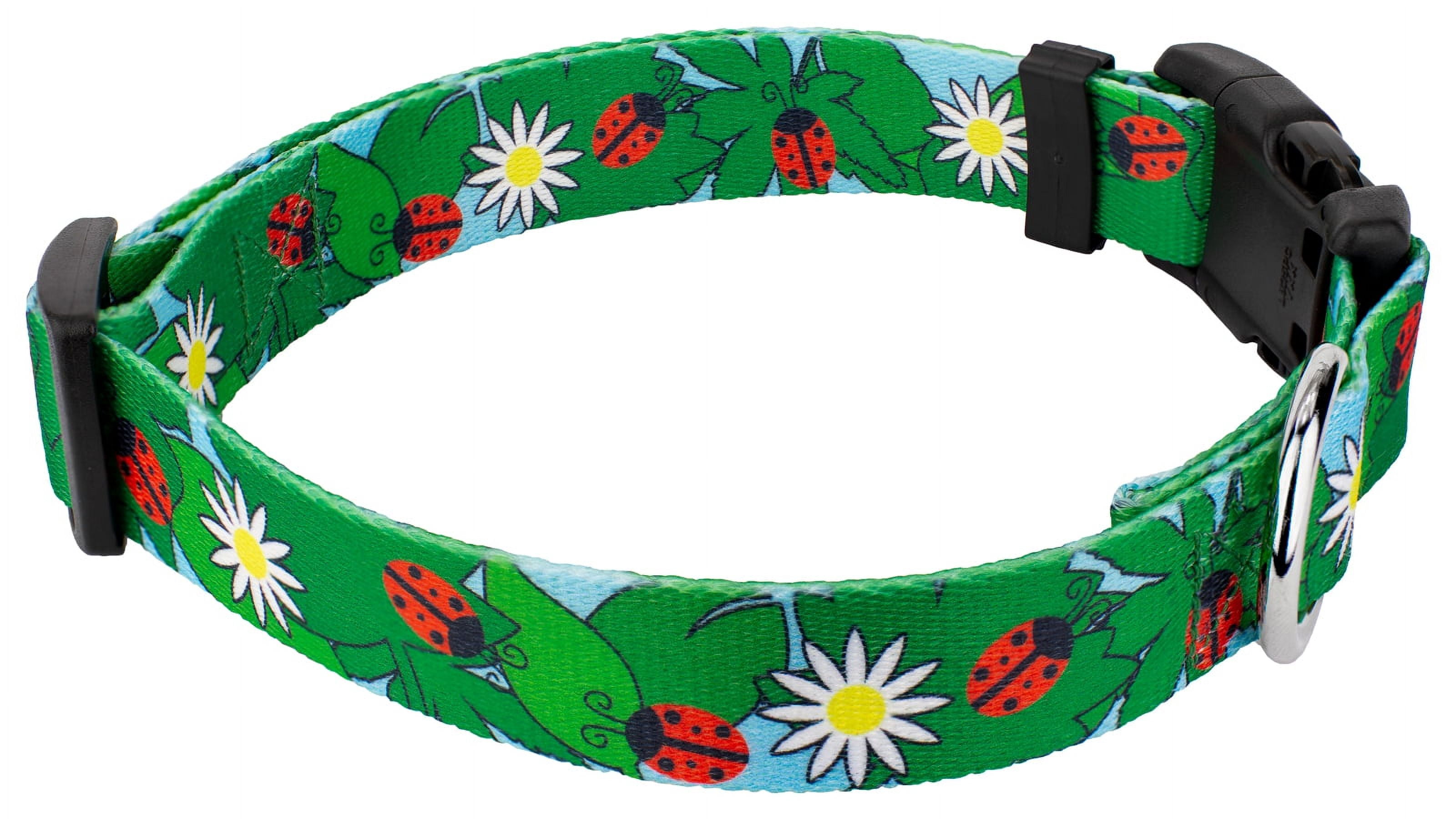 Country Brook Petz® Ladybug Picnic Everyday Dog Collar and Leash, Large