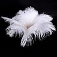 thumbnail image 3 of 20 x natural ostrich feather 25-30cm white decoration festivities, 3 of 5