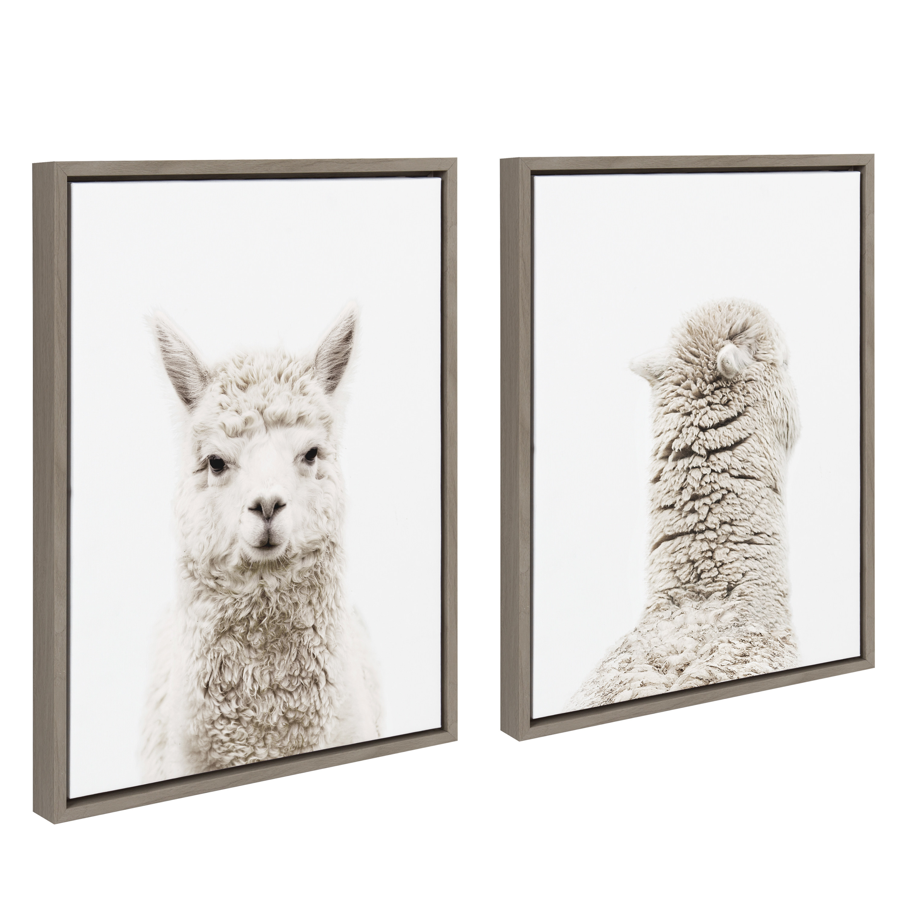 Kate and Laurel Animals/Insects Framed Canvas Art Prints, 18 in x 24 in, 2-Pieces, by Amy Peterson