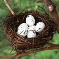 thumbnail image 2 of 100 Huevos de Pascua Artificiales con Forma de Pájaro, Modelos para Decoración de Paisajes en Miniatura, 2 of 8