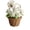 White, variant on WNFJR Flower Balls for Centerpieces Wedding, Artificial Flowers Artificial Peonies Silk Flowers, Fake Flower Ball Arrangement Bouquet for Party, Home
