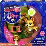 Littlest Pet Shop Outdoor Afternoon ~ Blythe Loves Postcards Series 1 Figure Outdoor Afternoon Corgi
