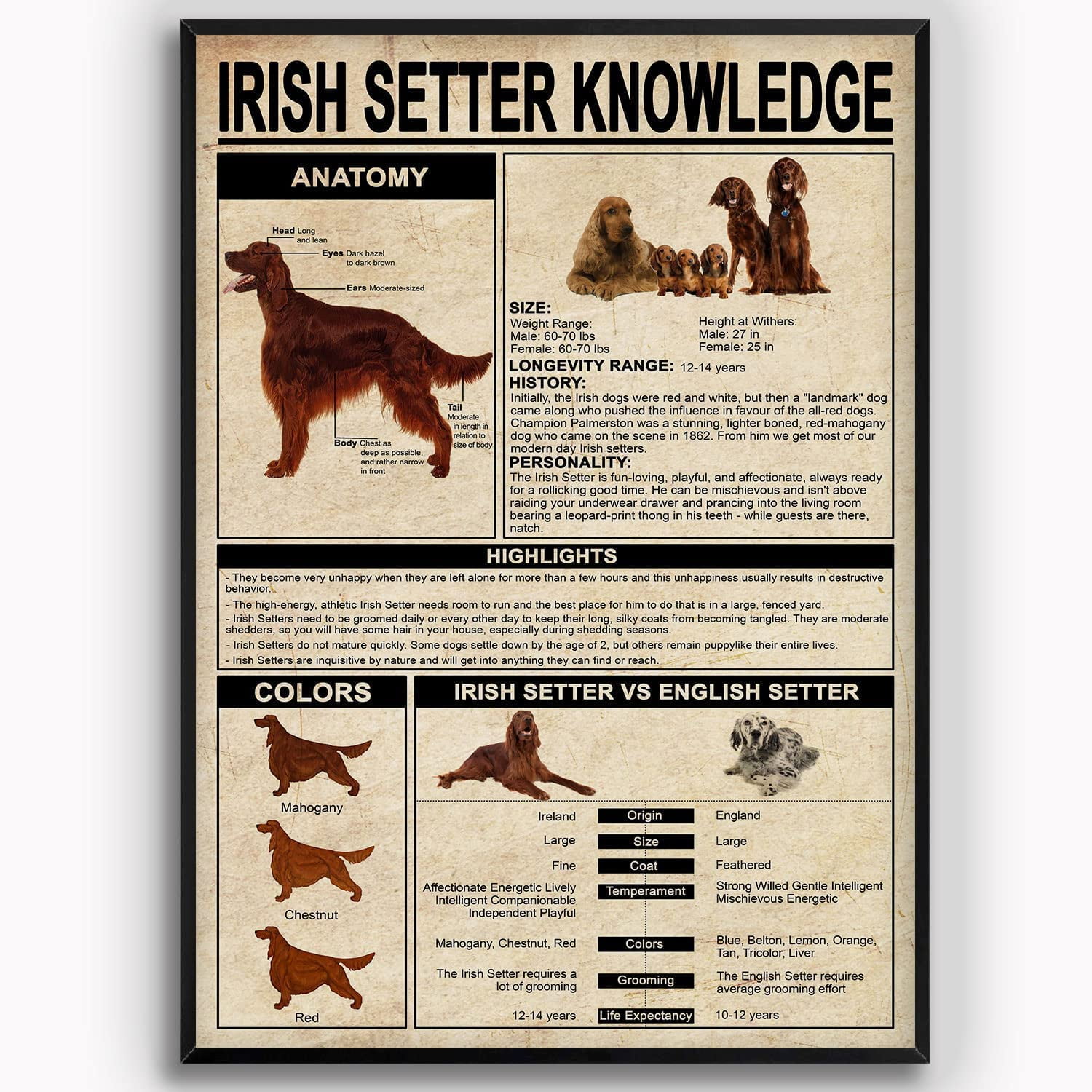 Irish Setter Vintage Metal Tin Sign Decorative Kuwait Ubuy