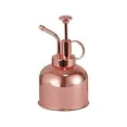 thumbnail image 2 of Metal Plant Mister Spray Bottle, 6"""""""""""""""""""""""""""""""" Tall Vintage Stainless Steel Spray Bottle with Top Pump, Small Can Indoor for Succulents - Rose, 2 of 9