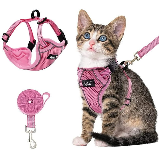 Gilet de sauvetage pour chat hotsell