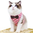 thumbnail image 1 of Strap, vest, cat rope, cat chain, back traction rope, clothes, cat rope, 1 of 1