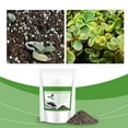 thumbnail image 5 of Njshnmn Succulent Cactus Potting Soil Mix All Purpose Garden Potting Mix For Indoor Outdoor Quick Drain Orchid Bonsai Perlite Soil Ready To Use Resealable Bag Design, 5 of 9