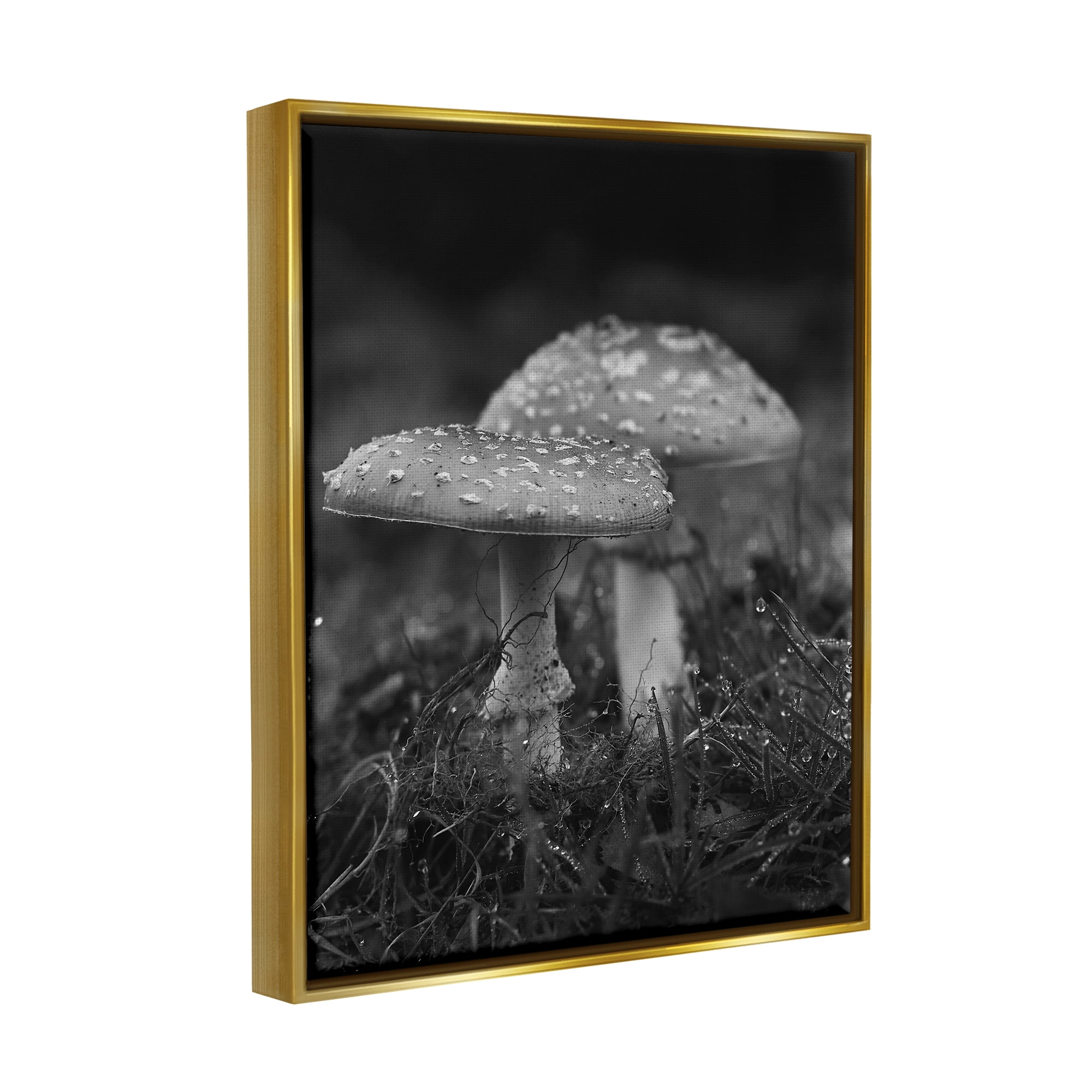 Stupell Industries Grey Mushroom Photography Botanical & Floral Photography Gold Floater Framed Canvas Art Print Wall Art, 25 x 31