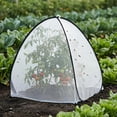thumbnail image 3 of 2 Pcs Pop Up Insect Barrier Plant Cover Tent, 22 x 22 x 22 Inch Foldable Garden Plant Protectors Mesh Enclosure, Garden Net Cage Bird Insect Guard Cover for Protecting Plants Fruits Vegetables, 3 of 7