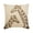 2. Beige (Giraffe Talk), variant on Decorative Pillow Cover, Decorative Beige 14"x14" (35x35 cm) Pillow Covers, Jacquard Silk Throw Pillow Covers, Chevron Pattern Modern Style - Chevron Folds