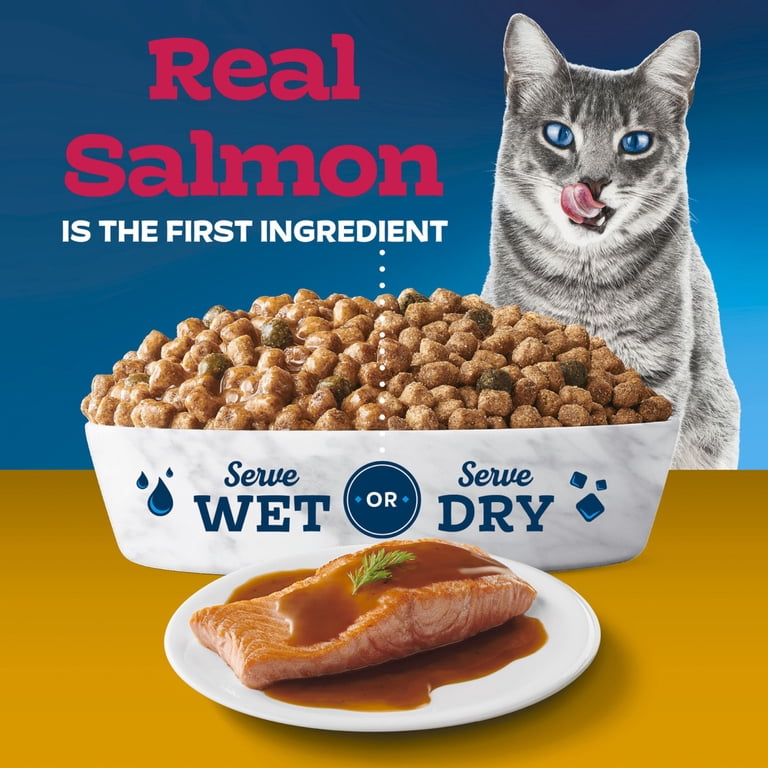 Blue Buffalo Tastefuls Irresistible Gravy Indoor Dry Cat Food, Salmon, 5lb photo 7