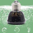 thumbnail image 4 of Pet Parrot Ceramic Heating Lamp Anti-bite Anti-scalding Reptile Warm Lights Accessories For Reptile Box, 4 of 8