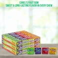 thumbnail image 3 of Canel’s Fruit Flavored Chewing Gum Variety Pack – 3 Boxes (16Ct Each) Green Apple Grape Cherry Banana Flavors, Wild Fruity Gum Candy for Party Favors Treats All Occasions, 3 of 7