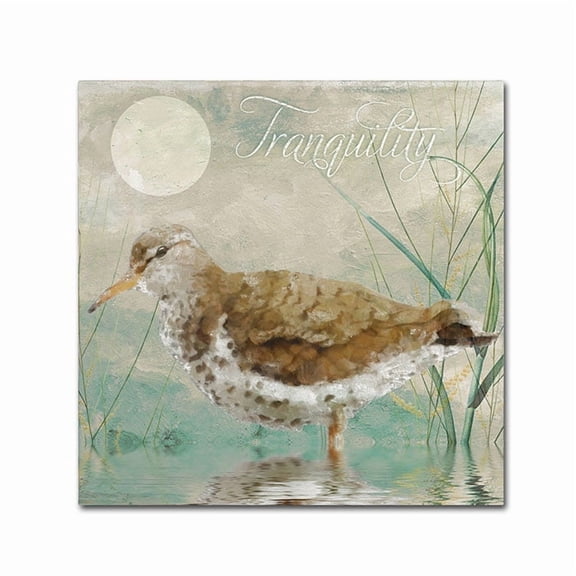 Trademark Fine Art "Sand Piper II" Canvas Art by Color Bakery