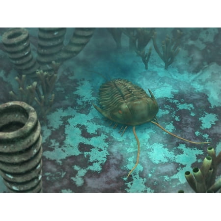 An Olenoides trilobite scurries across a Middle Cambrian ocean floor Canvas Art - Walter MyersStocktrek Images (33 x 25)