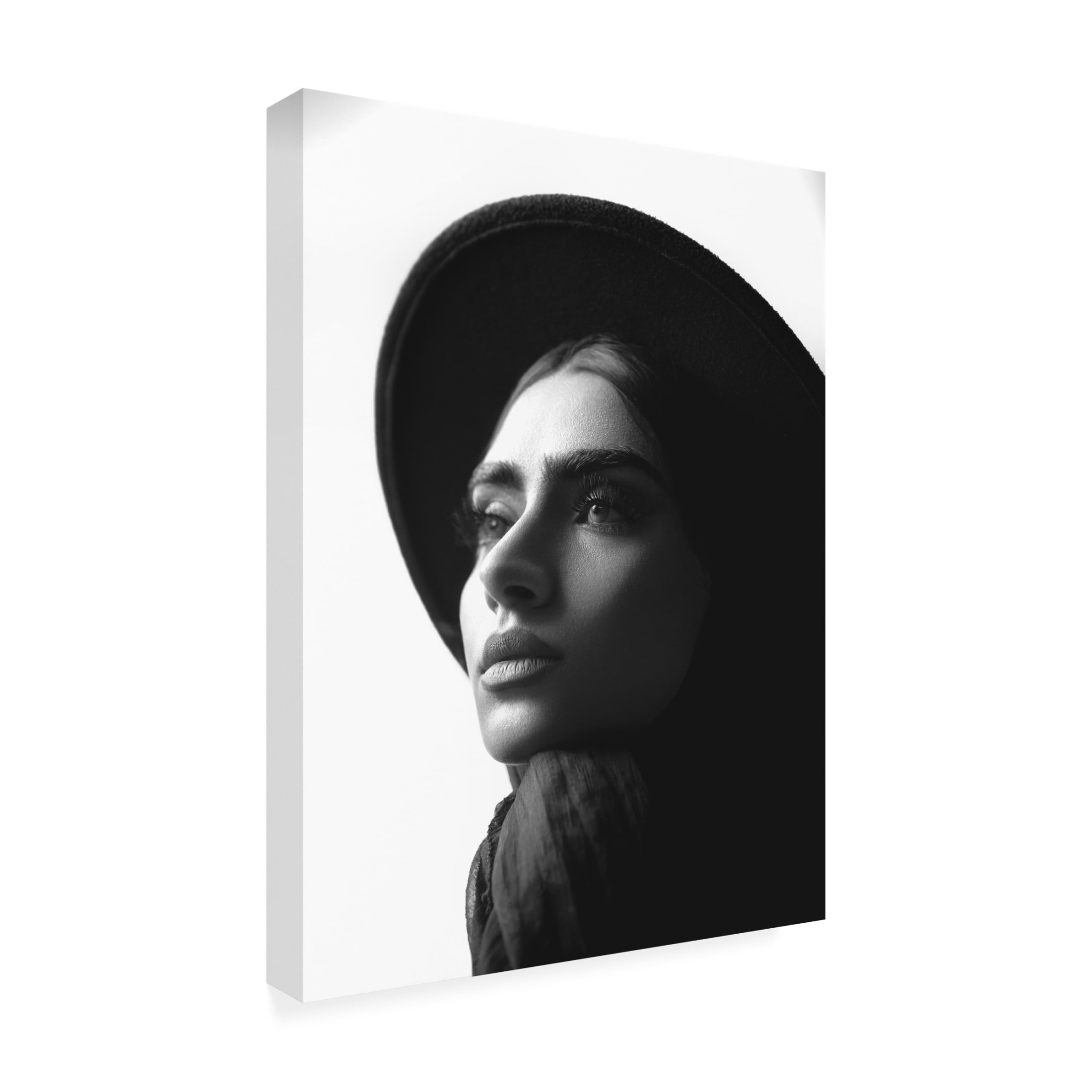 Trademark Fine Art Morteza ghanbari Sara Canvas Wall Art
