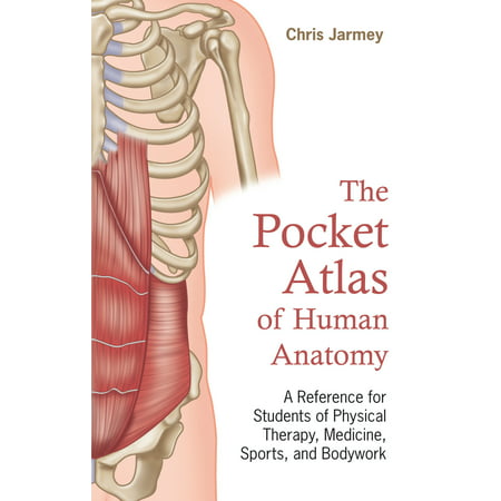 The Pocket Atlas of Human Anatomy : A Reference for Students of Physical Therapy, Medicine, Sports, and (Best Anatomy Textbook For Medical Students)