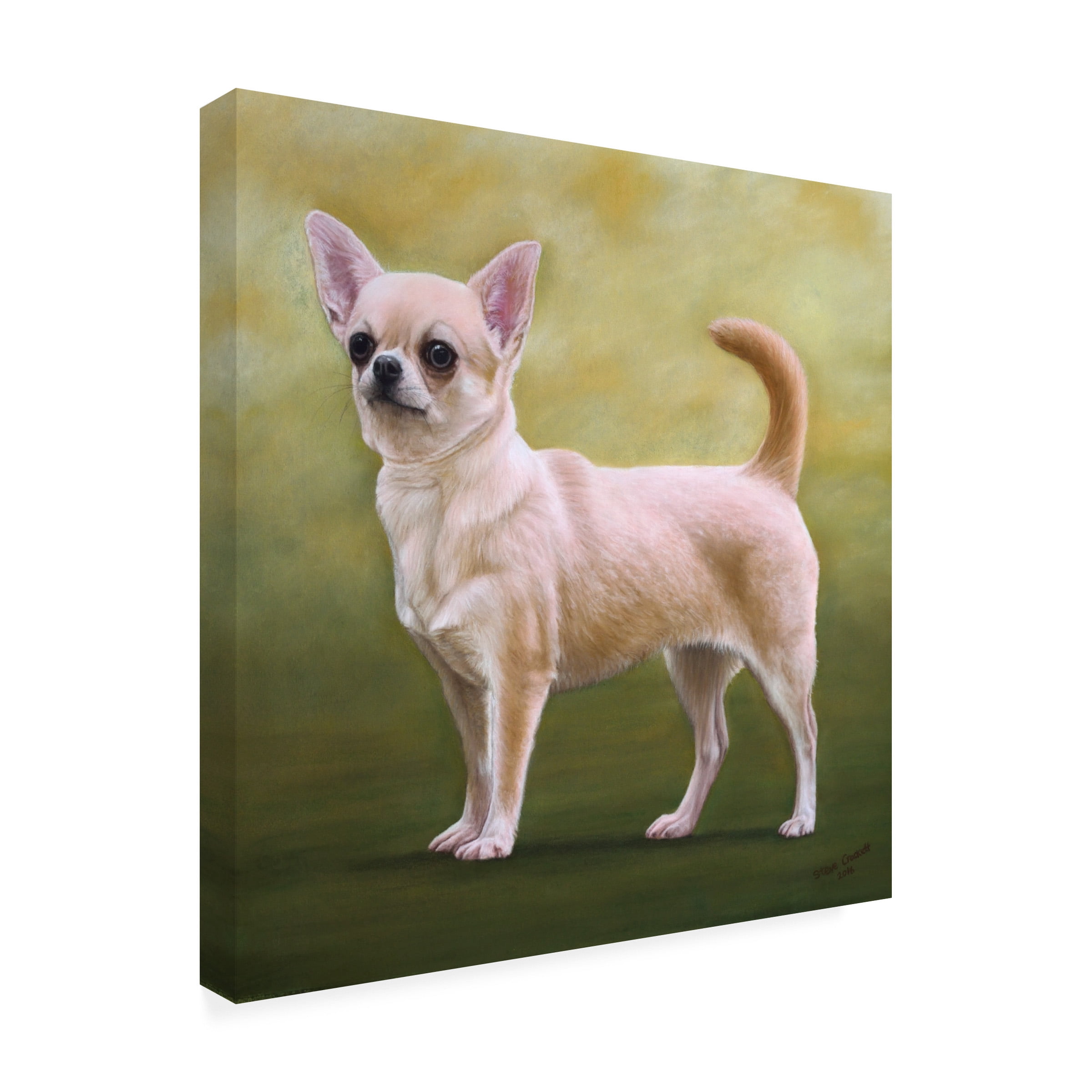 Steve Crockett 'Portrait Of A Chihuahua' Canvas Art