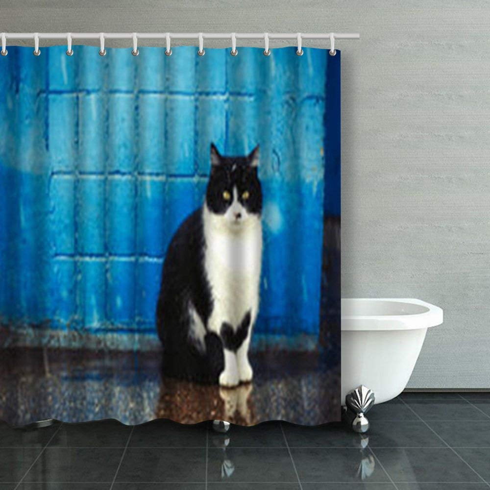 ARTJIA Black White Cat Behind Blue Wall Raining Cats Shower Curtains