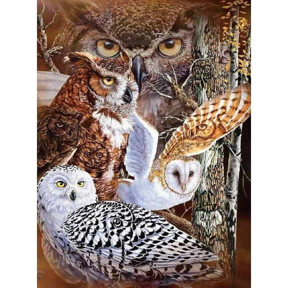 11 Owls Signature Collection Queen Size Reversible Plush Blanket 79" x 95"