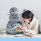 thumbnail image 2 of Peluche con forma de foca HUOGUO Chubby Soft Ocean Animal, 40 cm, 2 of 5