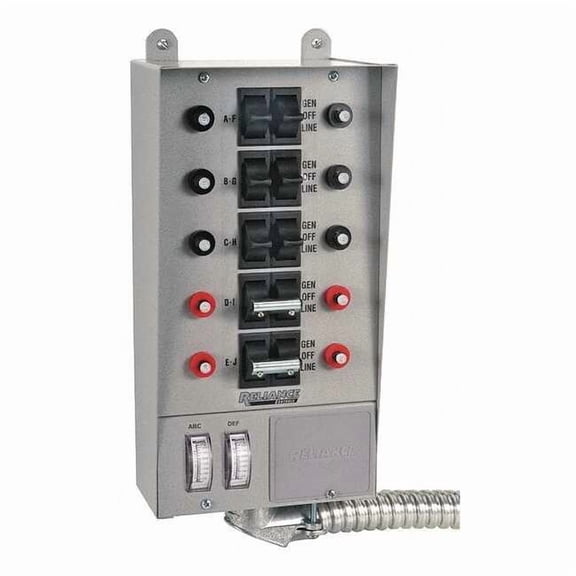 Reliance Controls Manual Transfer Switch,30A,125/250V  30310A