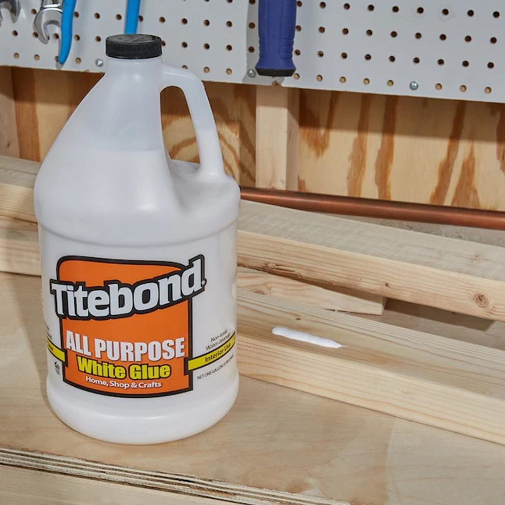 Titebond 1 Gallon Jug Professional-Grade Liquid All Purpose White Glue