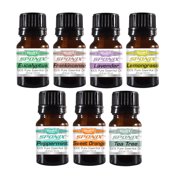 Essential Oil (10 mL x 7) Lavender Peppermint Eucalyptus Lemongrass Sweet Orange Frankincense Tea Tree Made with 100% Pure Therapeutic Grade Essential Oils Gift Set of 7 Aromatherapy 7 pack by Sponix