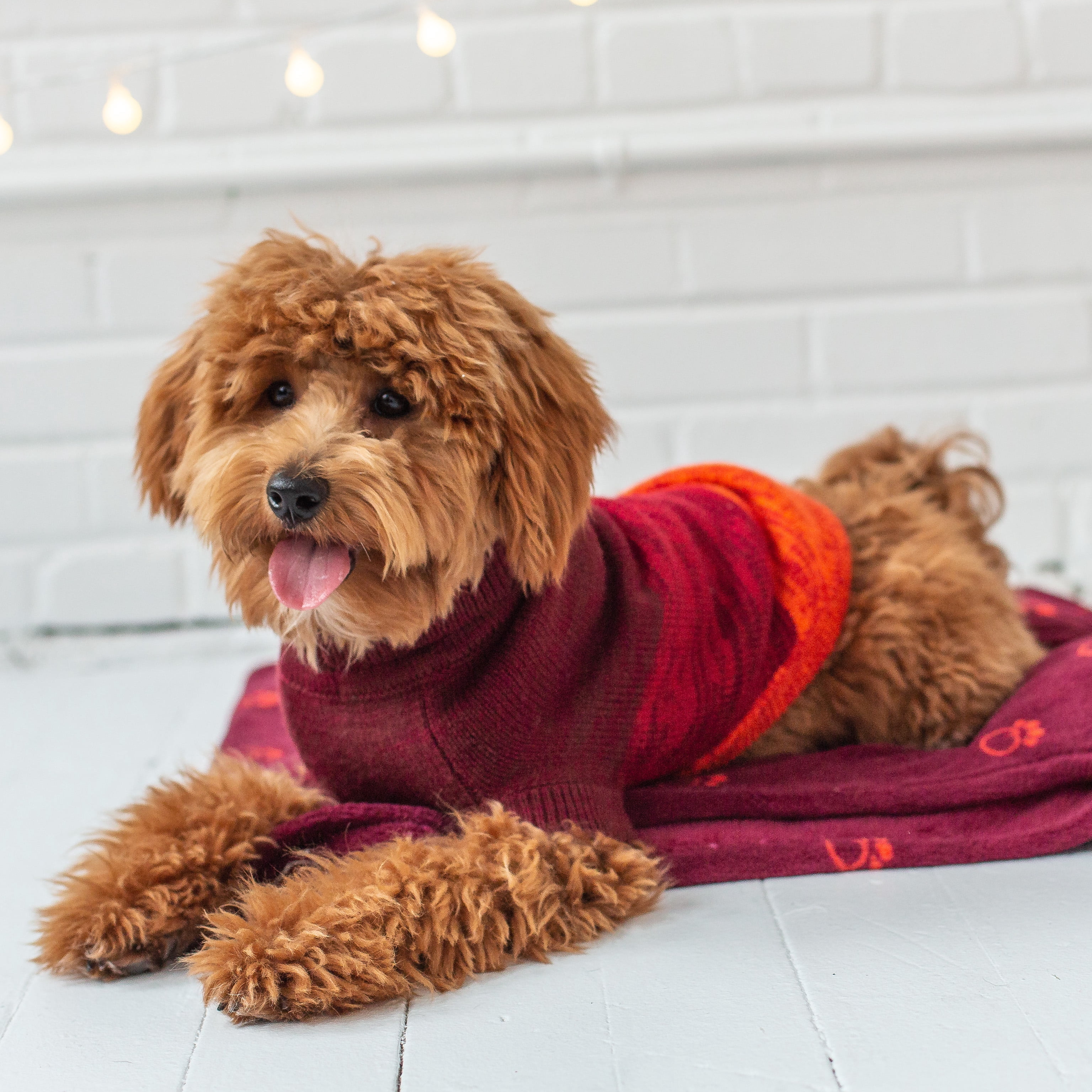 GF PET Trail Dog Sweater Apparel for Small Medium Large Dogs Pets, Red, XL