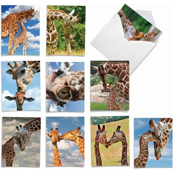 The Best Card Company - 10 Adorable Note Cards Blank (4 x 5.12 Inch) - Wildlife and Animal Cards, Assorted Boxed Kids Set - Kissing Giraffes AM6843OCB-B1x