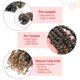 thumbnail image 3 of Jabón de Afeitar Sebo Valentynka. Enriquecido con Leche de Burra Agua Leche de Búfalo Proteínas de Suero Omega 3 Omega 6 Extracto de Lúpulo. Abeto canadiense Cuero Naranja Jazmín Azúcar Ámbar Azafrán, 3 of 5
