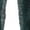 Green, variant on Quixlent Women Shorts Elastic Tight Fit Imitation Denim Bottom Shorts Seamless Perfect Body Curve Shorts Daily Wear