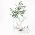 thumbnail image 4 of 1 Branch Artificial Plant Realistic Long-lasting 6/10 Forked Decorative Vivid Artificial Olive Branch Wedding Party Decor, 4 of 8